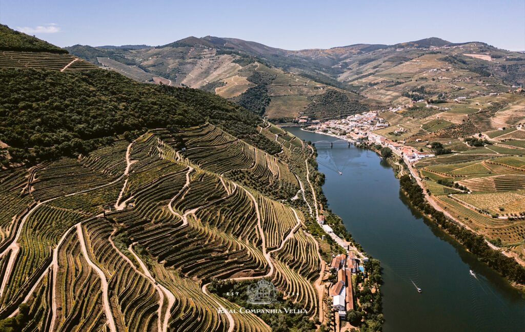 Portugese Port Wine tasting at Ann et Vin from Real Companhia Velha