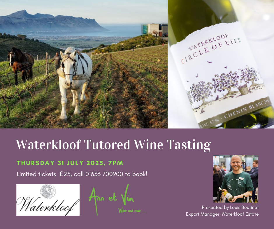 South African Wine Tasting at Ann et Vin, hosted by Louis Boutinot